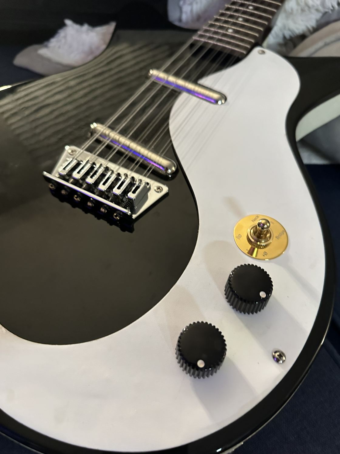 A Danelectro DC-12 with custom switching.